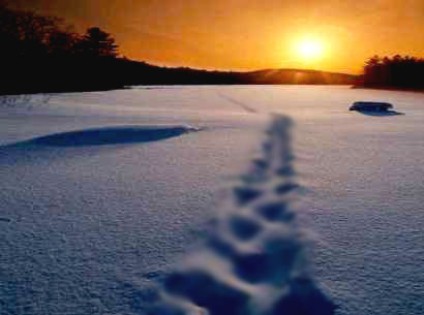 A Arte de Recomeçar